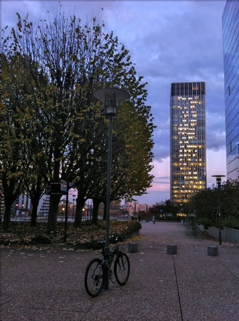20111118-171641.jpg